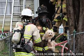 Photos from the incident were taken by and are the property of ScanMD.org